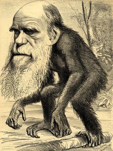 Darwin_Ape