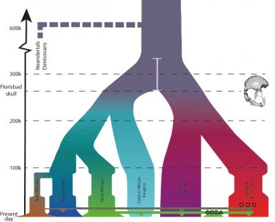 639178e0-4834-4f4c-9890-ed4ed8232016-human-family-tree