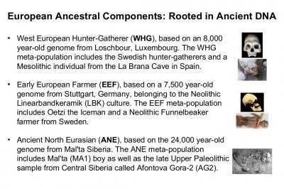 r1b-and-the-people-of-europe-an-ancient-dna-update-18-1024